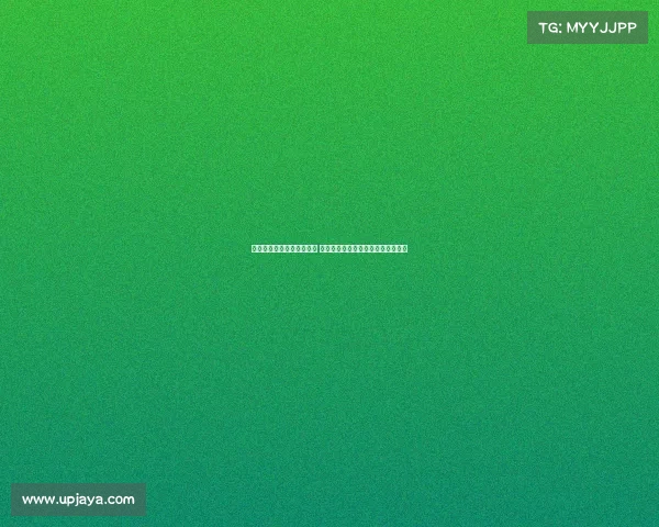 希勒称谢什科与哈兰德相似 深信他在英超能轻松适应并大放异彩